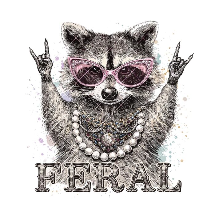 Feral Raccoon Rock Sublimation Png 1204
